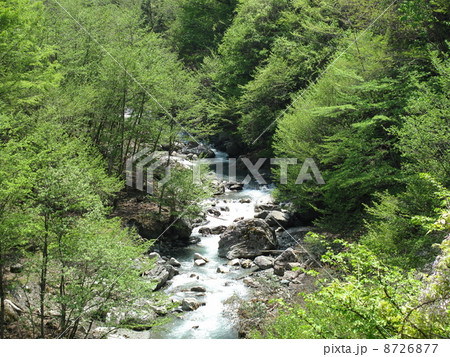 新緑青木川　大鹿村 8726877