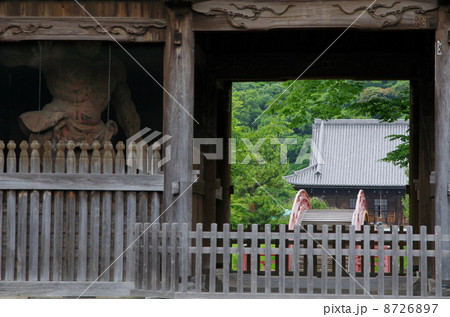 称名寺 称名寺 8726897