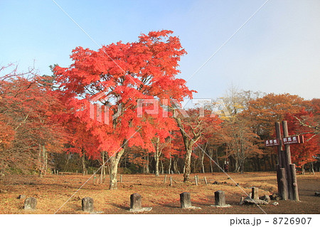 旧碓氷峠見晴台 8726907