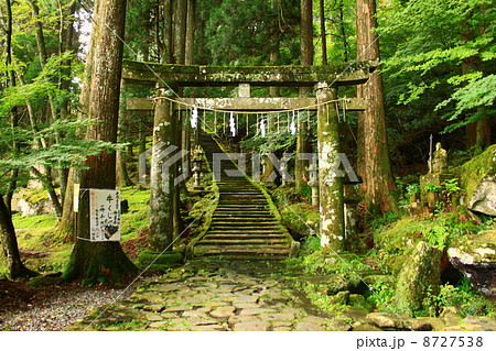 英彦山　高住神社の参道 8727538