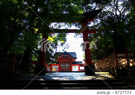 宇佐神宮　西大門 8727723