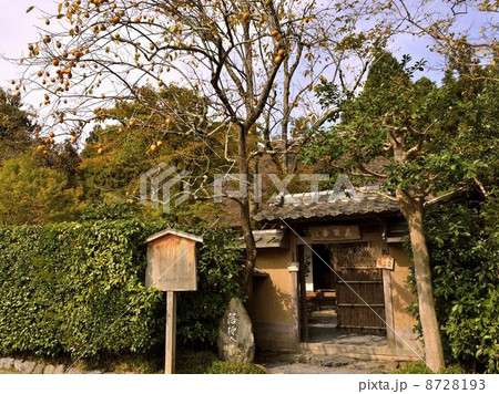 柿・落柿舎 8728193