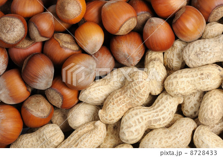 Walnuts and peanuts 8728433