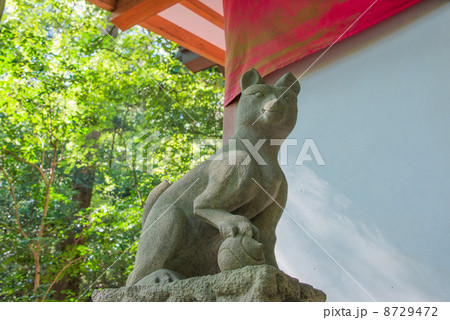 宝稲荷神社 狐(宝登山神社/埼玉県秩父郡長瀞町) 宝稲荷神社 狐(宝登山神社/埼玉県秩父郡長瀞町) 8729472