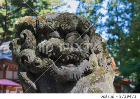 宝登山神社　狛犬（埼玉県秩父郡長瀞町） 8729473