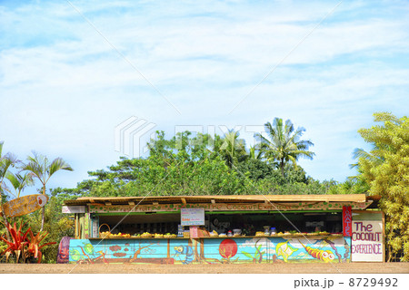 カウアイ　露店 8729492