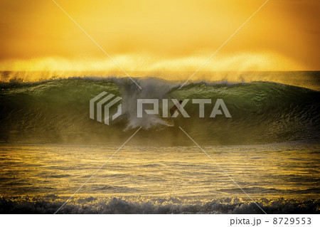 ハワイ　ノースショア 8729553