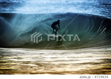 ハワイ　ノースショア 8729638