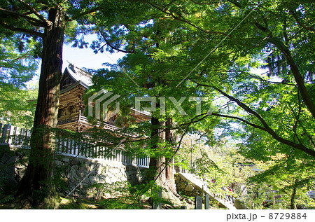 筑波山神社　随神門（茨城県つくば市） 8729884