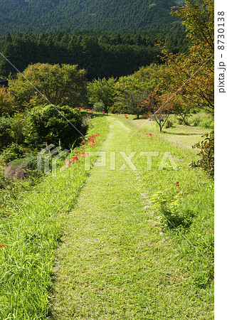 葛城古道　橋本院付近 8730138