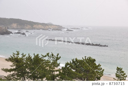 千鳥ケ浜 南鳥羽 千鳥ケ浜 南鳥羽 8730715