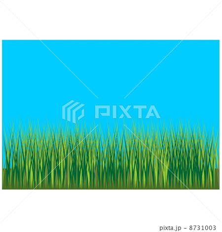 Grass background 001 8731003