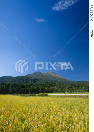 田園風景と高千穂の峰 田園風景と高千穂の峰 8731155