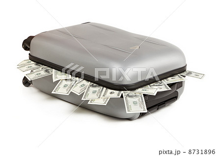 lot of money 8731896