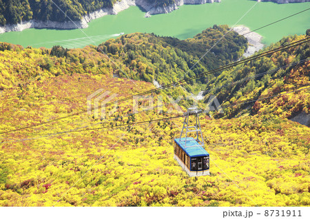 立山黒部アルペンル-トの紅葉 立山黒部アルペンル-トの紅葉 8731911