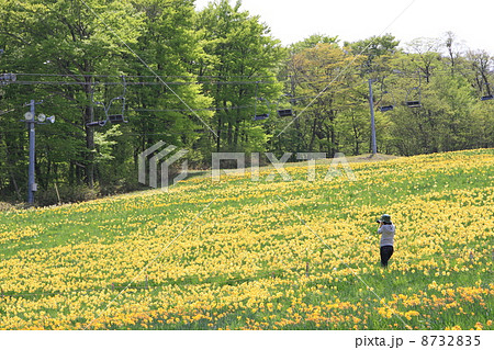 みやぎ蔵王えぼしすいせん祭り 8732835