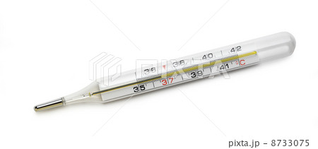 Thermometer 8733075