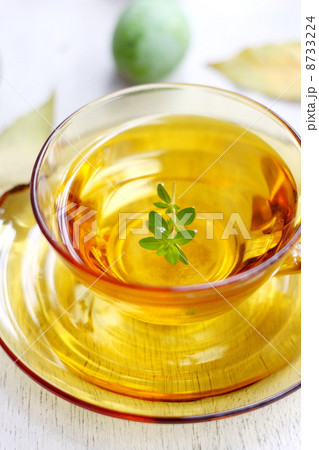 日溜りでハーブティーのティータイム 日溜りでハーブティーのティータイム 8733224