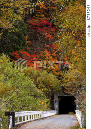 高瀬渓谷の紅葉 高瀬渓谷の紅葉 8733248
