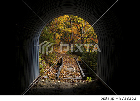 高瀬渓谷の紅葉 高瀬渓谷の紅葉 8733252