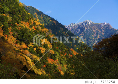 高瀬渓谷の紅葉 8733258