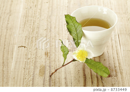 お茶の花 お茶の花 8733449