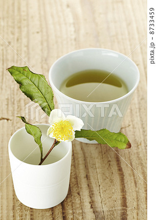 お茶の花 お茶の花 8733459