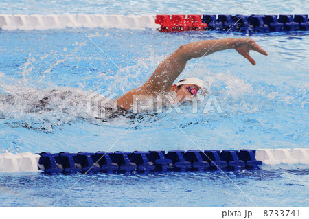 クロール クロール 8733741