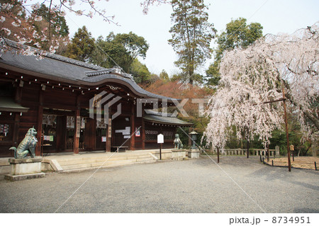 京都 大石神社 8734951