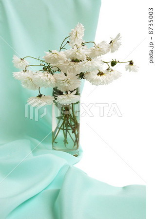 Bouquet of white chrysanthemum 8735003