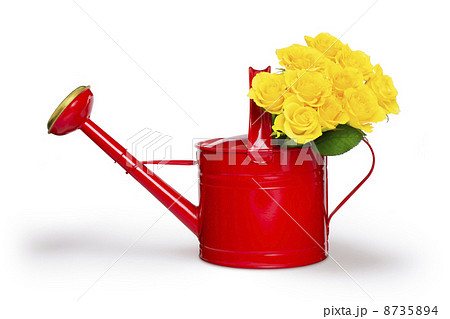 バラとじょうろ 8735894