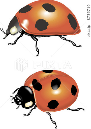 イラストのイラスト素材