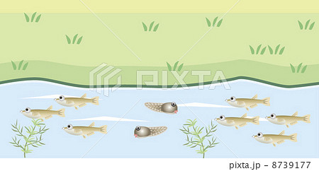 イラスト イラスト 8739177