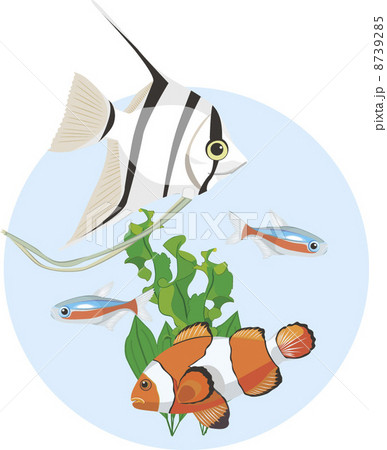 イラスト イラスト 8739285