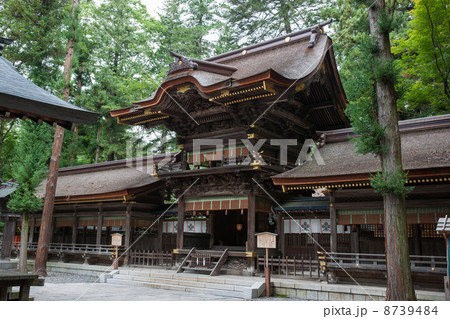 諏訪大社下社春宮弊拝殿 8739484