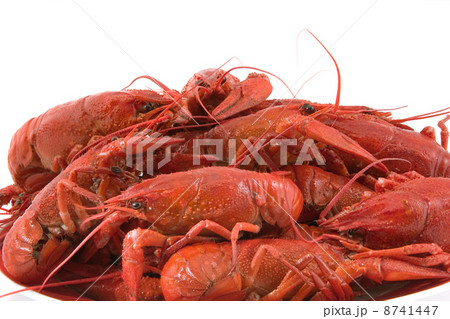 Cooked cancers 8741447