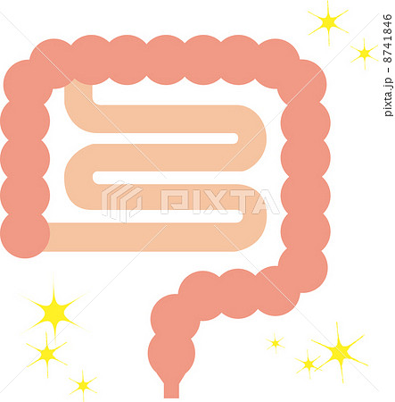 大腸 小腸 断面図イラストのイラスト素材