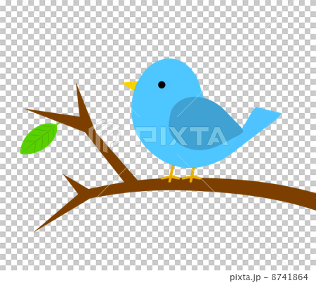 枝にとまる小鳥 枝にとまる小鳥 8741864
