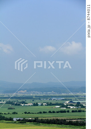 広大な干拓地 8744011