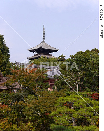 仁和寺 庭の写真素材