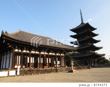 興福寺の五重塔と東金堂 興福寺の五重塔と東金堂 8744373