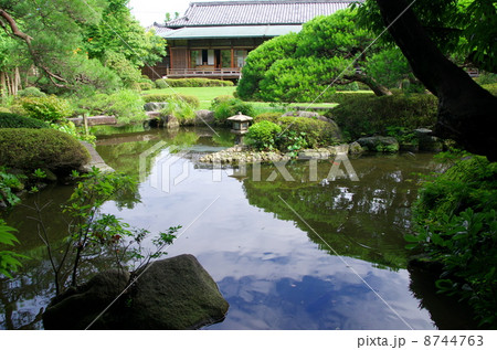 柴又帝釈天の邃渓園 柴又帝釈天の邃渓園 8744763
