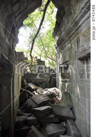 ベンメリア 8745488