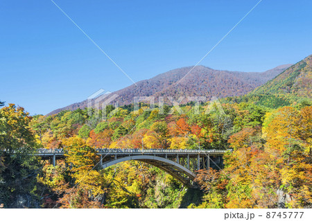 紅葉の鳴子峡 8745777