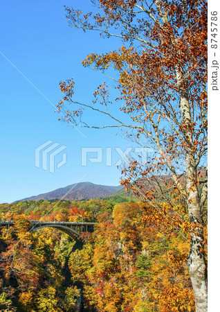 紅葉の鳴子峡 8745786