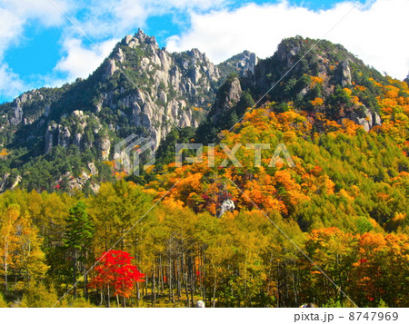 瑞牆山（山梨県北杜市） 8747969