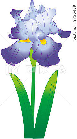 イラストのイラスト素材