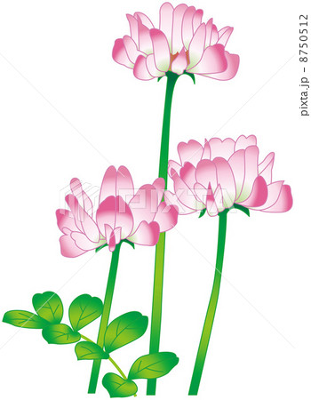 イラスト 8750512