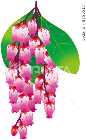 イラスト イラスト 8750517