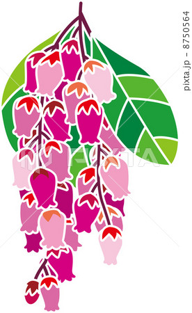 イラスト イラスト 8750564